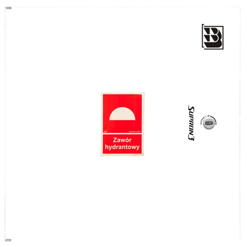 Dwa zawory hydrantowe typ ZH-52 wraz z obudową. Szafka ochronna 550. Szafka zawieszana, Znak B, zamek OTS, kolor RAL 9003