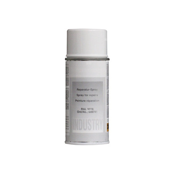 Lakier - spray RAL 9016