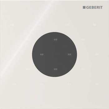Elektroniczny zawór spłukujący Geberit do pisuaru, zasilanie 230V, Typ 40, szkło sand grey, okrągły