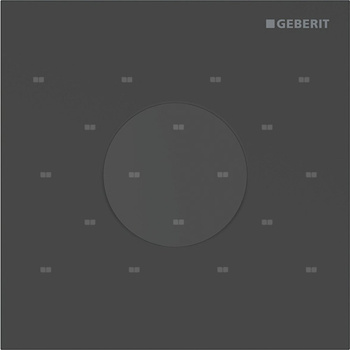 Elektroniczny zawór spłukujący Geberit do pisuaru, zasilanie 230V, Typ 40, stal nierdzewna czarny, okrągły