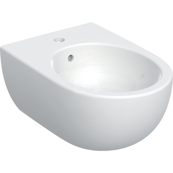 Geberit Selnova Bidet wiszący, B36cm, H26cm, T53cm, ukryte mocowania, z przelewem, z otworem na baterię