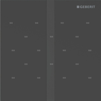 Elektroniczny zawór spłukujący Geberit do pisuaru, zasilanie bateryjne, Typ 40, stal nierdzewna czarny mat, prostokątny