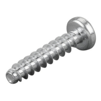 Śruba soczewkowa PT 4x20