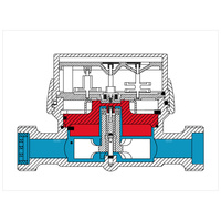 Wodomierz jednostrumieniowy suchobieżny antymagnetyczny, typu GSD8-I DN 15 Q3=1,6 m3/h R100/50, Tmax: 90st.C, L=110 mm