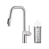 DUERO PURE STYLE PULL-OUT BATERIA KUCHENNA Z FUNKCJĄ FILTRACJI WODY I WYCIĄGANĄ WYLEWKĄ, STAL NIERDZEWNA + ZESTAW FILTRUJĄCY PROFINE SILVER S