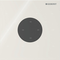 Elektroniczny zawór spłukujący Geberit do pisuaru, zasilanie bateryjne, Typ 40, szkło sand grey, okrągły