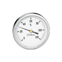 Termometr, przyłącze środkowe, tylne 100 mm 0-120 st. C