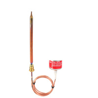 Zesp. termost. AVTB 30-100'C 2m, cz. zam.