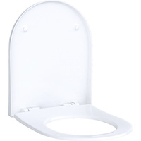 Deska sedesowa Geberit Acanto: Wolne opadanie=Tak, Zawiasy wypinane=Tak, Mocowanie=Od góry, Biały / Błyszczący