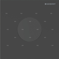 Elektroniczny zawór spłukujący Geberit do pisuaru, zasilanie 230V, Typ 40, stal nierdzewna czarny, okrągły